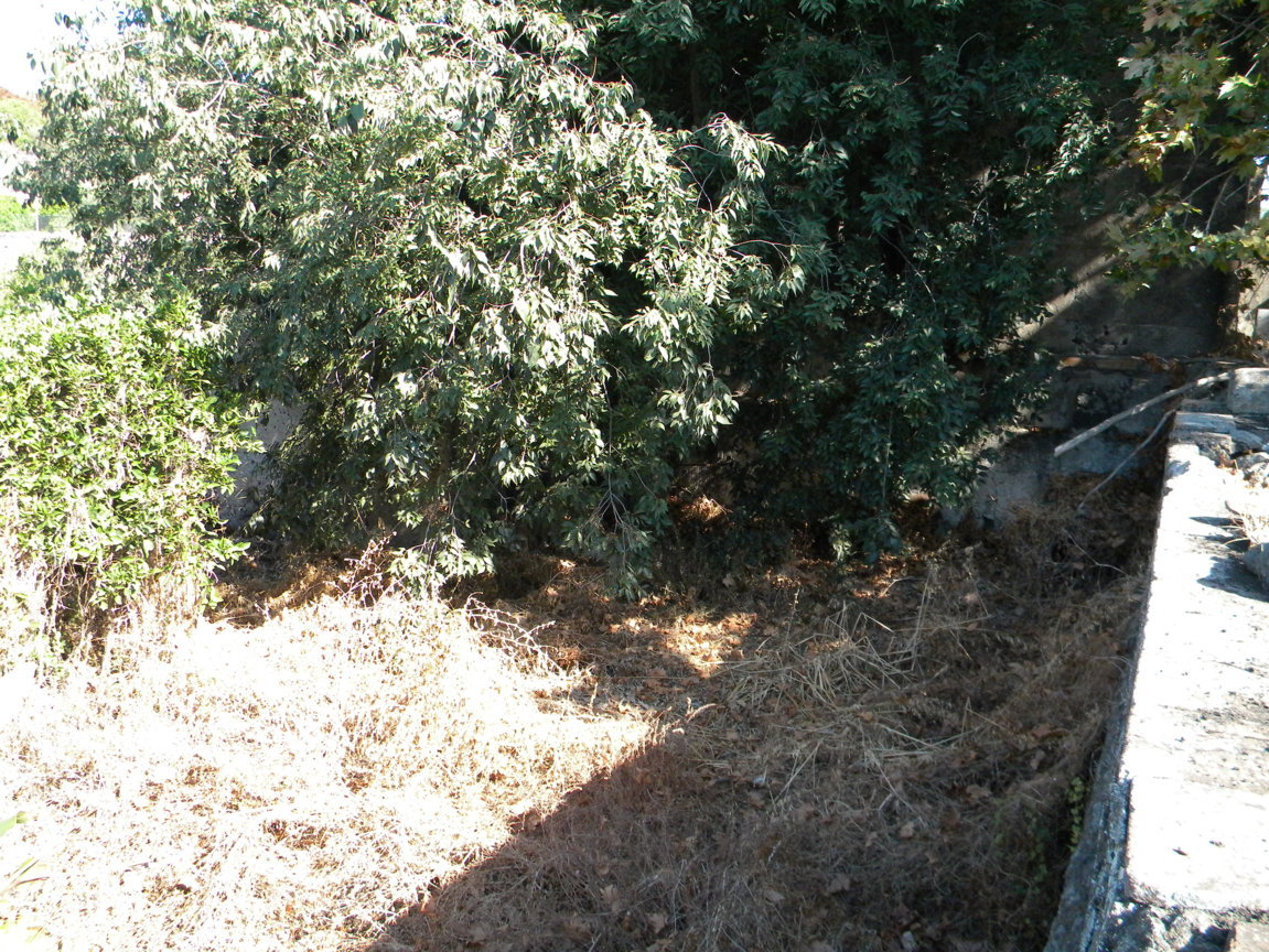 DSCN8177 .JPG